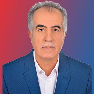 SADİN